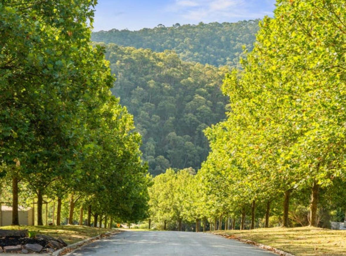 Mt Buller Stayz ميريجيغ المظهر الخارجي الصورة