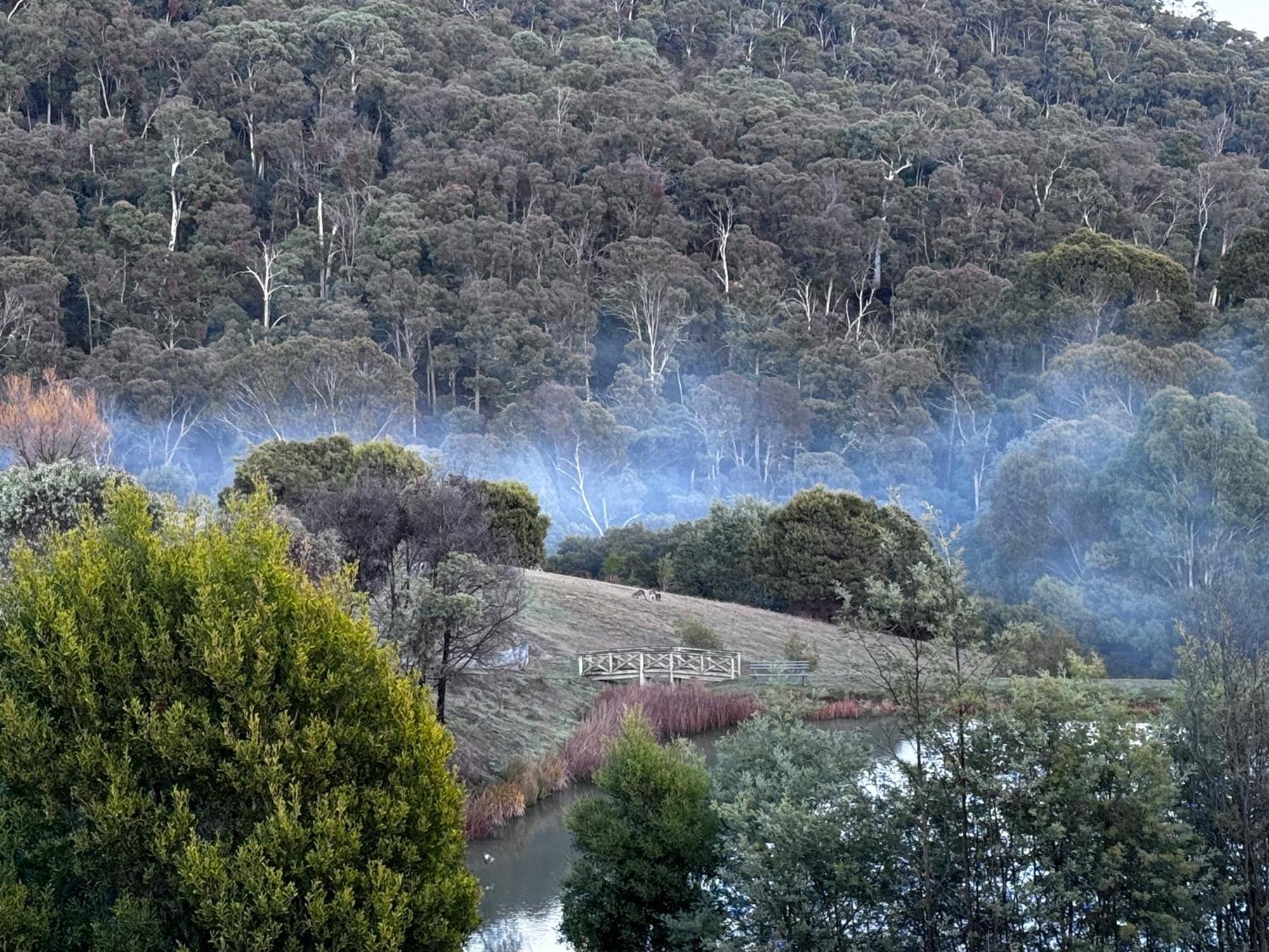 Mt Buller Stayz ميريجيغ المظهر الخارجي الصورة